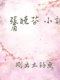 张晓芬 小说主角