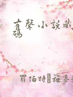 有声小说藏地密码