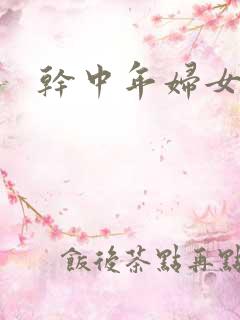 干中年妇女小说
