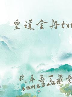 皇道金丹txt