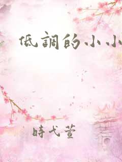 低调的小小宫女