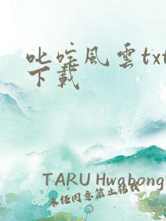 叱咤风云txt下载