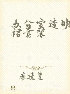 办公室透明半身裙套装