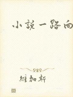 小说一路向西