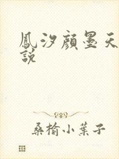 凤汐颜墨天问小说