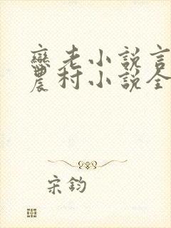 恋老小说言情网农村小说全文阅读