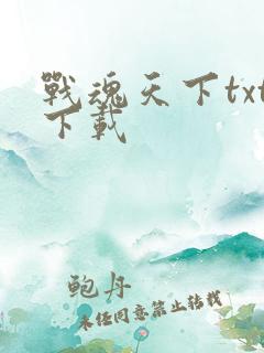 战魂天下txt下载