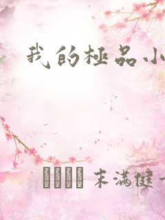 我的极品小姨