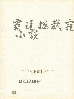 霸道总裁宠上天 小说