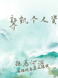 许凯个人资料简介