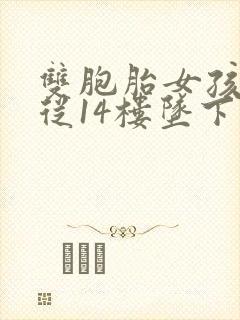 双胞胎女孩双双从14楼坠下