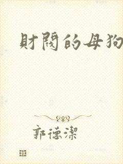 财阀的母狗们