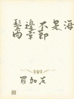 鬓边不是海棠红肉章节