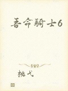 吾命骑士6