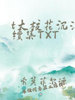 t大校花沉浮录续集TXT