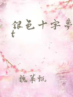 银色十字梦txt