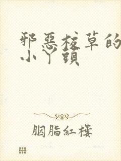 邪恶校草的拽拽小丫头