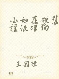 小如在破旧仓库让流浪狗