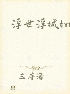 浮世浮城txt