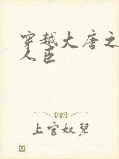 穿越大唐之位极人臣