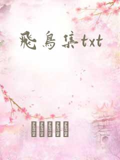 飞鸟集txt