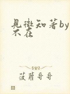 见微知著by音不在