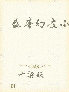 盛唐幻夜小说