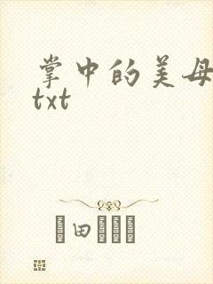 掌中的美母版主txt