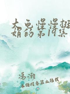 大龟慢慢挺进张娟的第19集