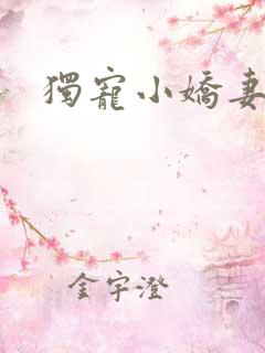 独宠小娇妻
