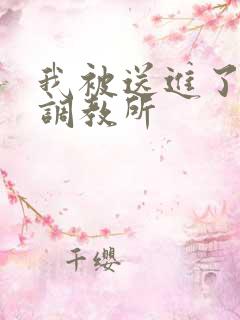 我被送进了私奴调教所