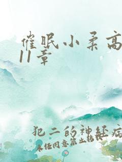 催眠小柔高达第11章