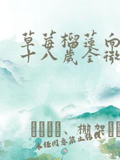 草莓榴莲向日葵十八岁全微糖