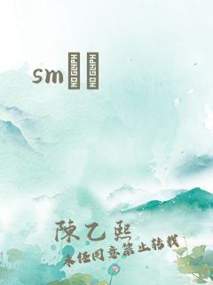 smˮŰ