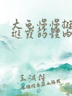 大龟慢慢挺进王进霞的体内