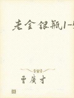 老金银瓶1-5