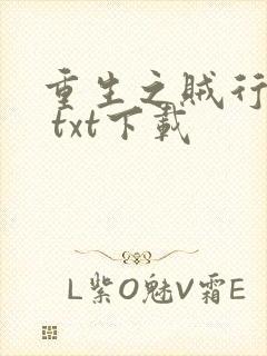 重生之贼行天下 txt下载