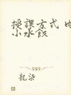 授课方式 肉馅小水饺