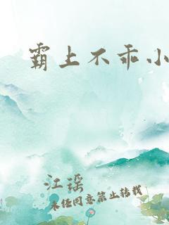 霸上不乖小逃妻