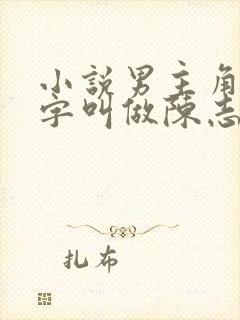 小说男主角的名字叫做陈志远