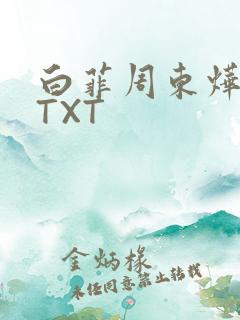 白菲周东烨小说TXT