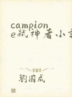 campione弑神者小说