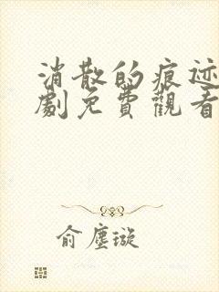 消散的痕迹电视剧免费观看完整版