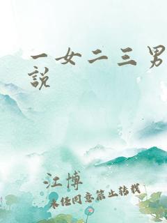 一女二三男事小说