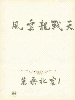 风云龙战天下