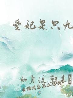 爱妃是只九尾猫