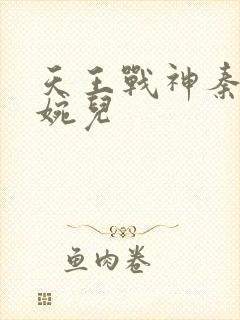 天王战神秦武林婉儿