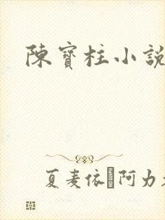 陈宝柱小说