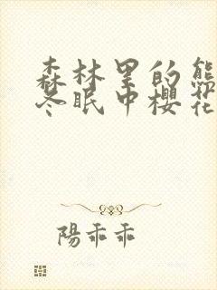 森林里的熊先生冬眠中樱花动漫