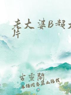 老大婆B超大图片